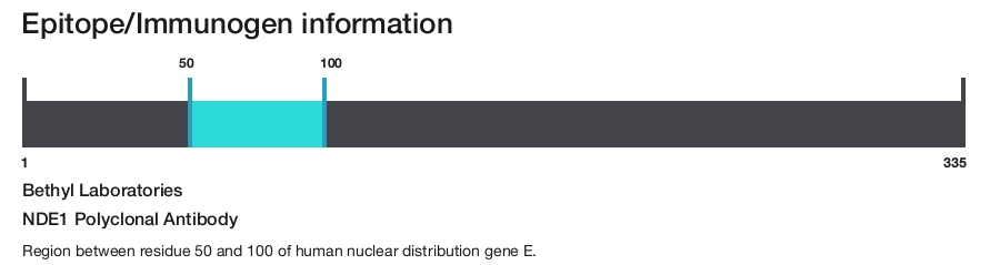 NDE1 Polyclonal Antibody