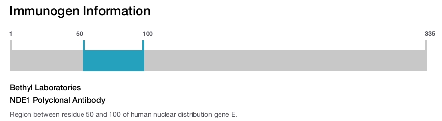 NDE1 Polyclonal Antibody