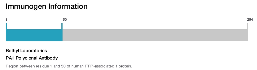 PA1 Polyclonal Antibody