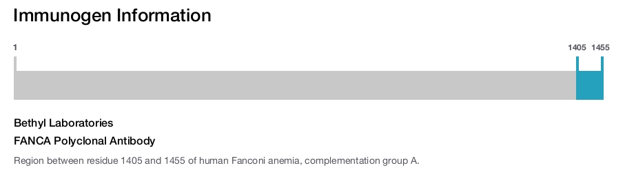 FANCA Polyclonal Antibody