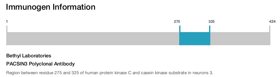 PACSIN3 Polyclonal Antibody