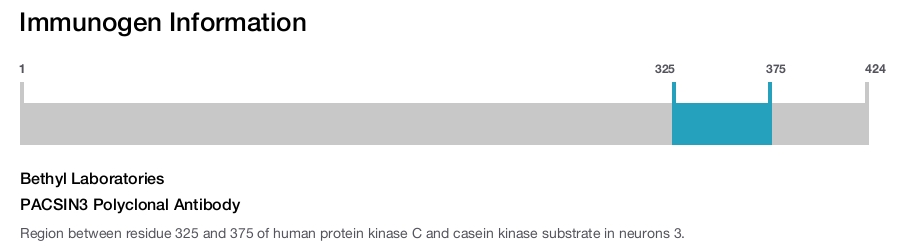PACSIN3 Polyclonal Antibody