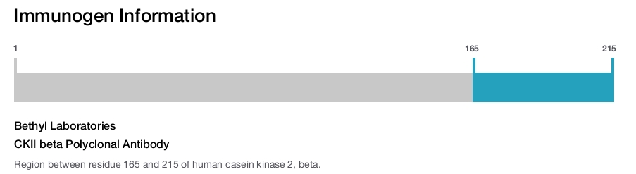 CKII beta Polyclonal Antibody