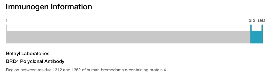 BRD4 Polyclonal Antibody