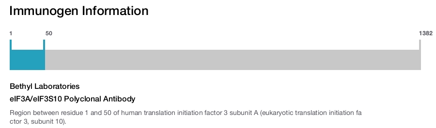 eIF3A/eIF3S10 Polyclonal Antibody