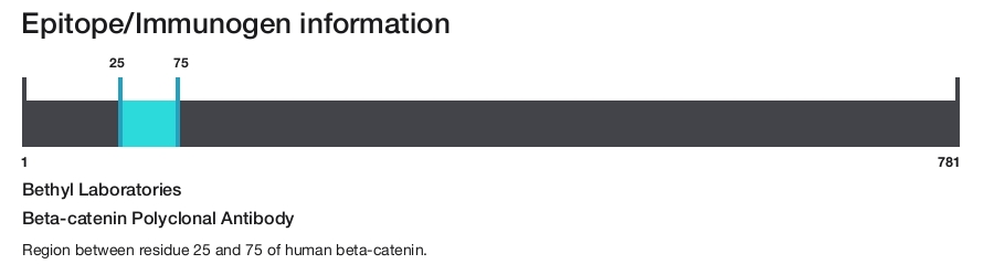 Beta-catenin Polyclonal Antibody