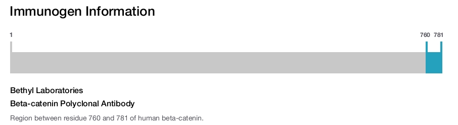 Beta-catenin Polyclonal Antibody