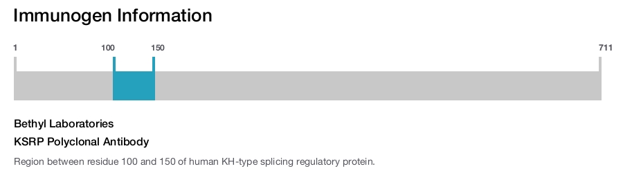 KSRP Polyclonal Antibody