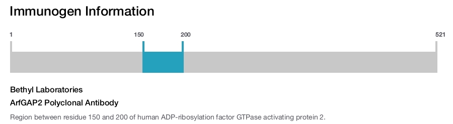ArfGAP2 Polyclonal Antibody