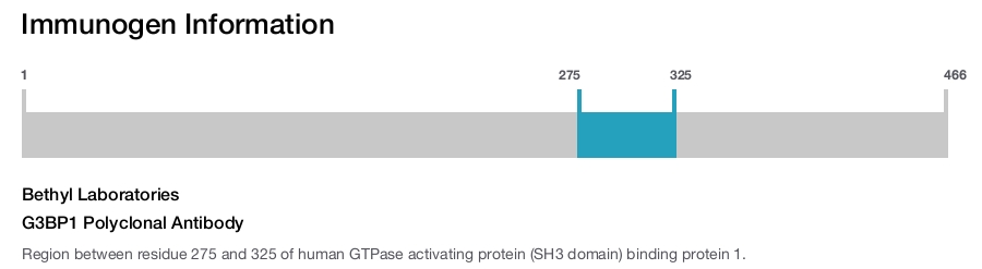 G3BP1 Polyclonal Antibody