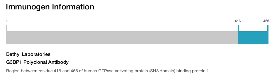 G3BP1 Polyclonal Antibody