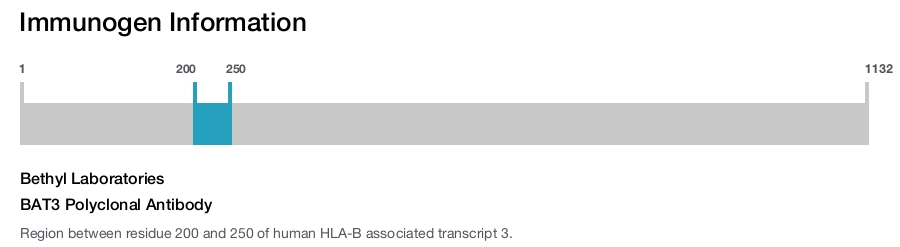 BAT3 Polyclonal Antibody