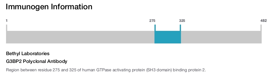 G3BP2 Polyclonal Antibody
