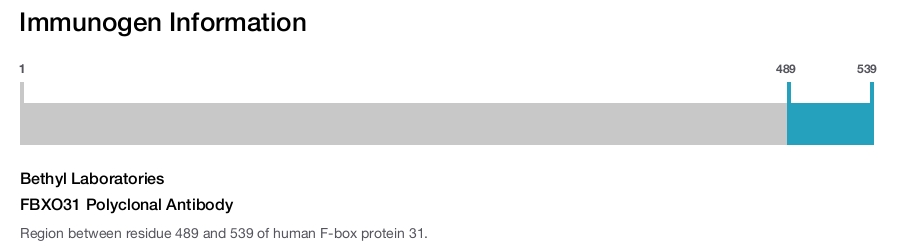 FBXO31 Polyclonal Antibody