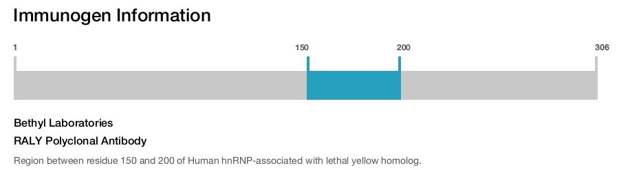 RALY Polyclonal Antibody