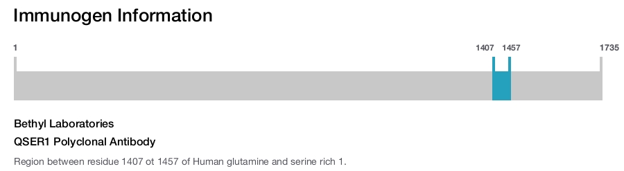 QSER1 Polyclonal Antibody