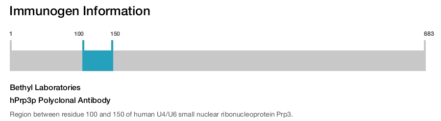hPrp3p Polyclonal Antibody