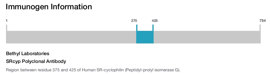 SRcyp Polyclonal Antibody