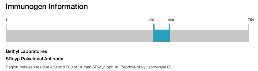 SRcyp Polyclonal Antibody