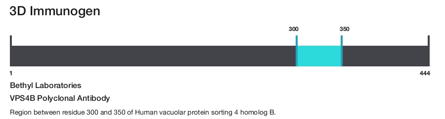 VPS4B Polyclonal Antibody