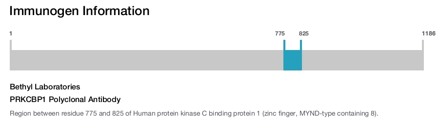 PRKCBP1 Polyclonal Antibody