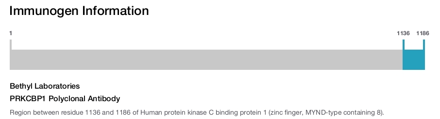 PRKCBP1 Polyclonal Antibody