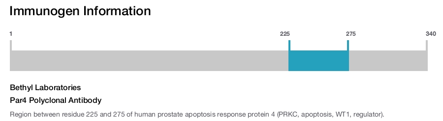 Par4 Polyclonal Antibody