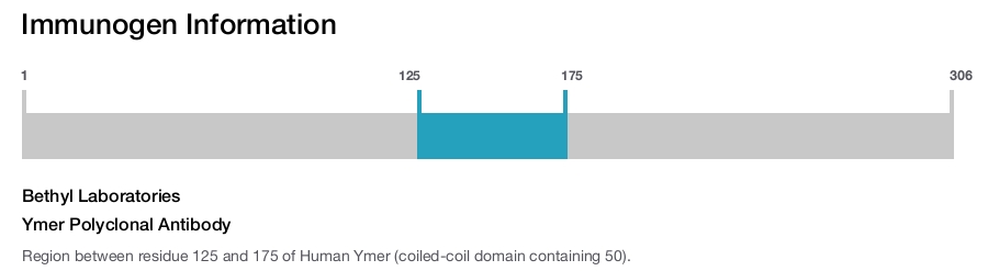 Ymer Polyclonal Antibody