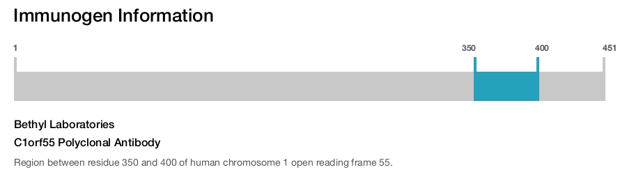 C1orf55 Polyclonal Antibody
