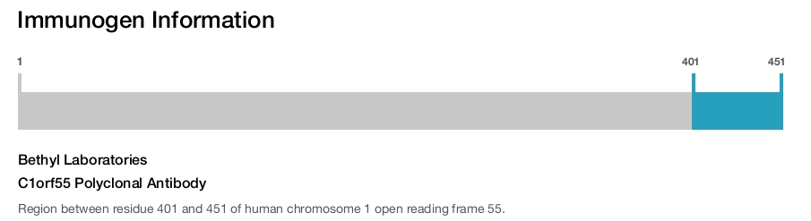 C1orf55 Polyclonal Antibody