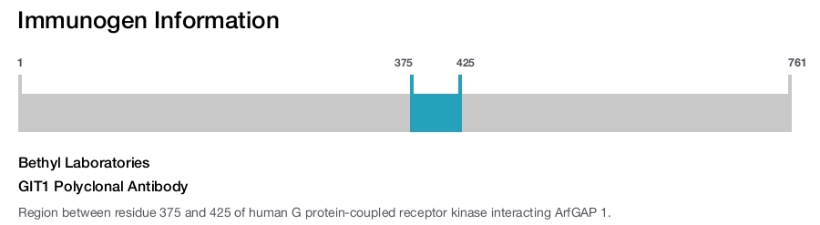 GIT1 Polyclonal Antibody