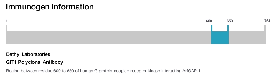 GIT1 Polyclonal Antibody