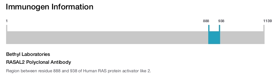 RASAL2 Polyclonal Antibody