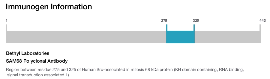 SAM68 Polyclonal Antibody