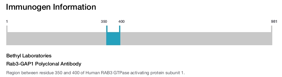 Rab3-GAP1 Polyclonal Antibody