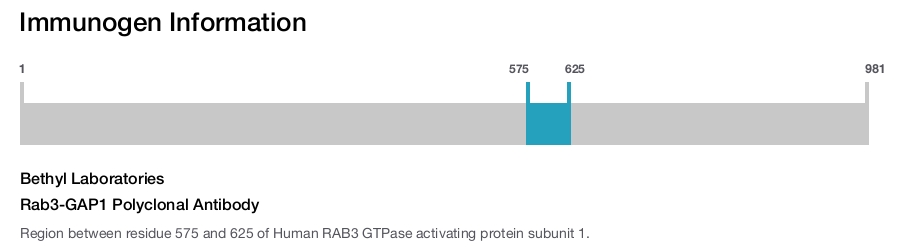 Rab3-GAP1 Polyclonal Antibody
