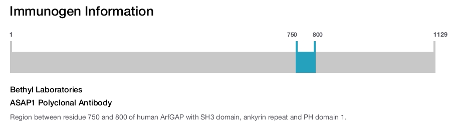 ASAP1 Polyclonal Antibody