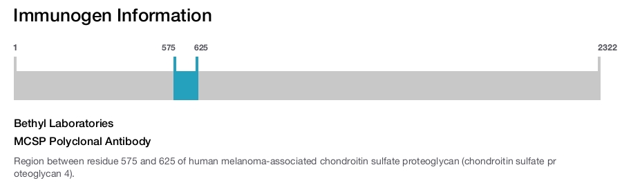 MCSP Polyclonal Antibody