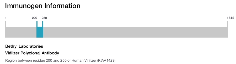 Virilizer Polyclonal Antibody