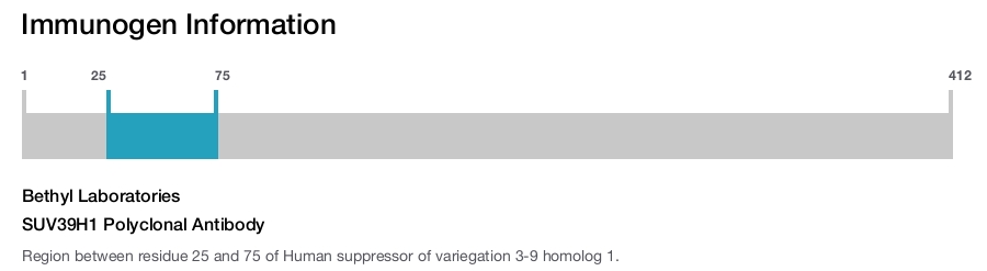 SUV39H1 Polyclonal Antibody
