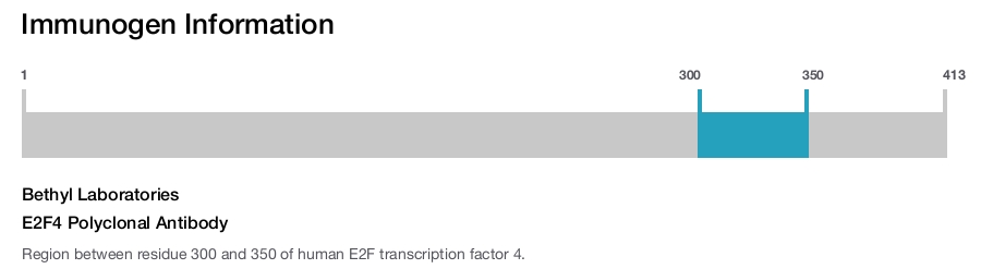 E2F4 Polyclonal Antibody