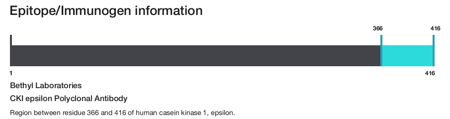 CKI epsilon Polyclonal Antibody