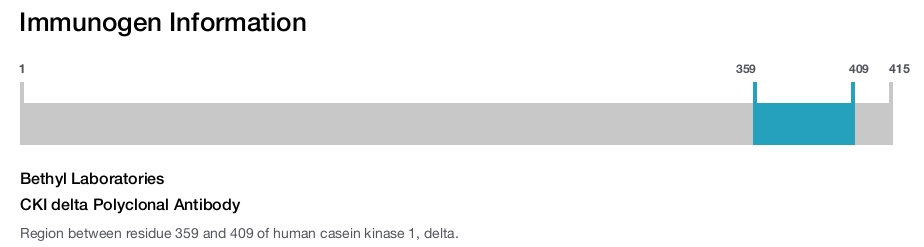 CKI delta Polyclonal Antibody