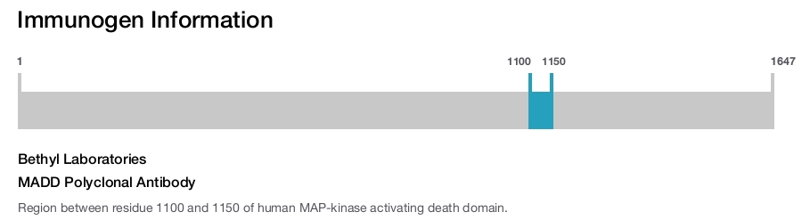 MADD Polyclonal Antibody