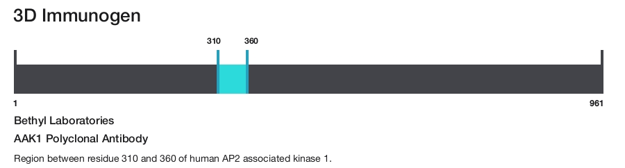 AAK1 Polyclonal Antibody