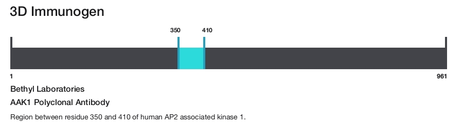AAK1 Polyclonal Antibody