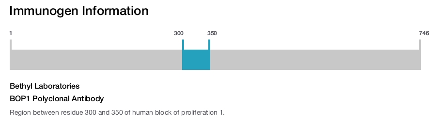 BOP1 Polyclonal Antibody