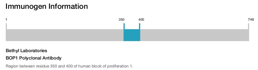 BOP1 Polyclonal Antibody