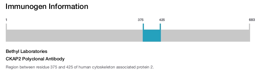 CKAP2 Polyclonal Antibody