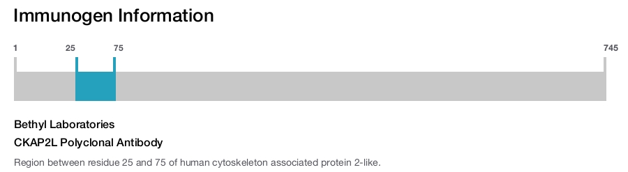 CKAP2L Polyclonal Antibody